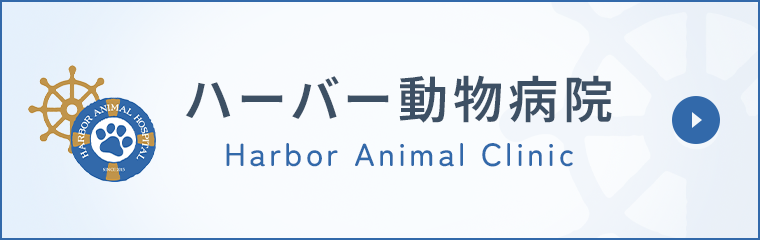 ハーバー動物病院